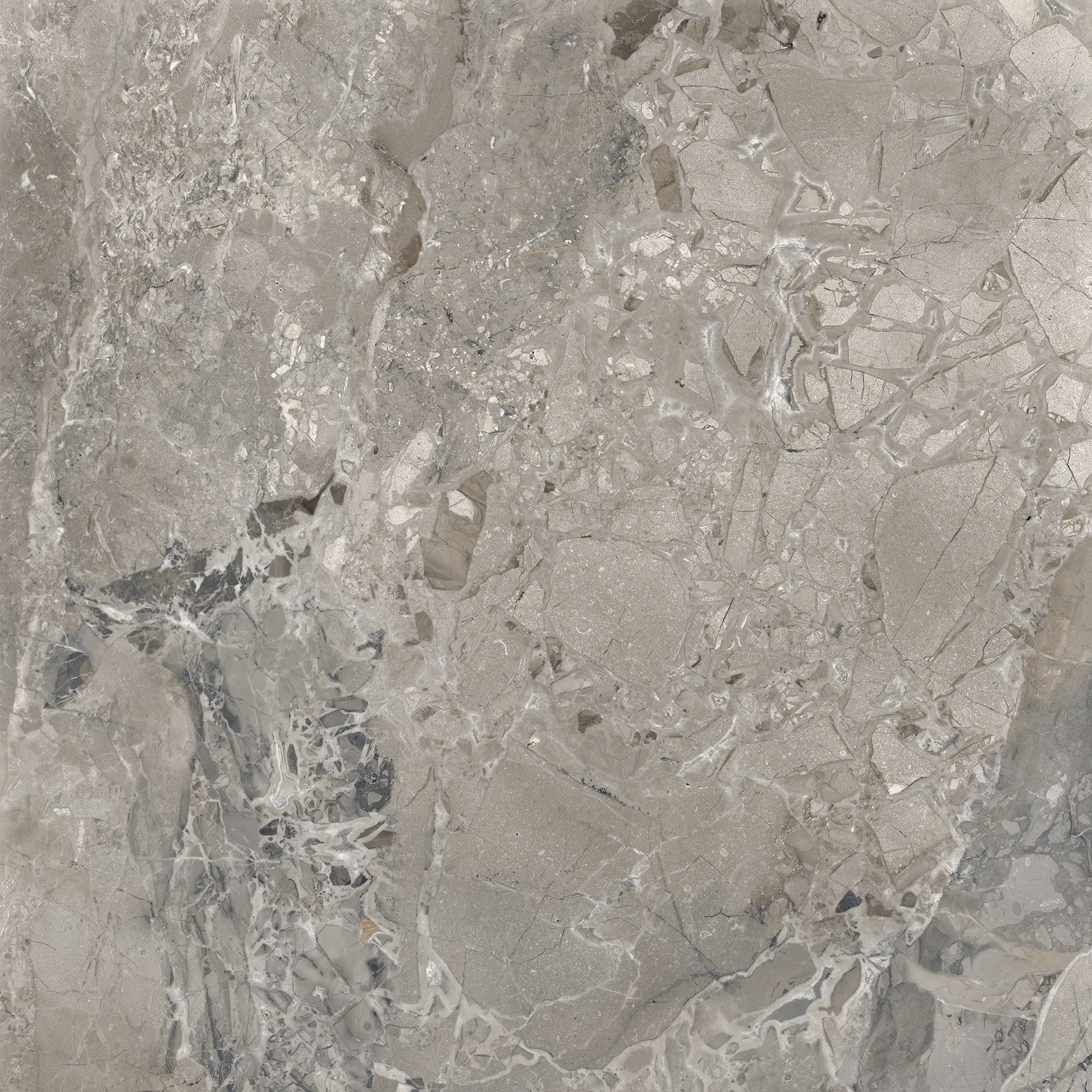 BRECCIA MARINO ASH - SILK MATT 1212