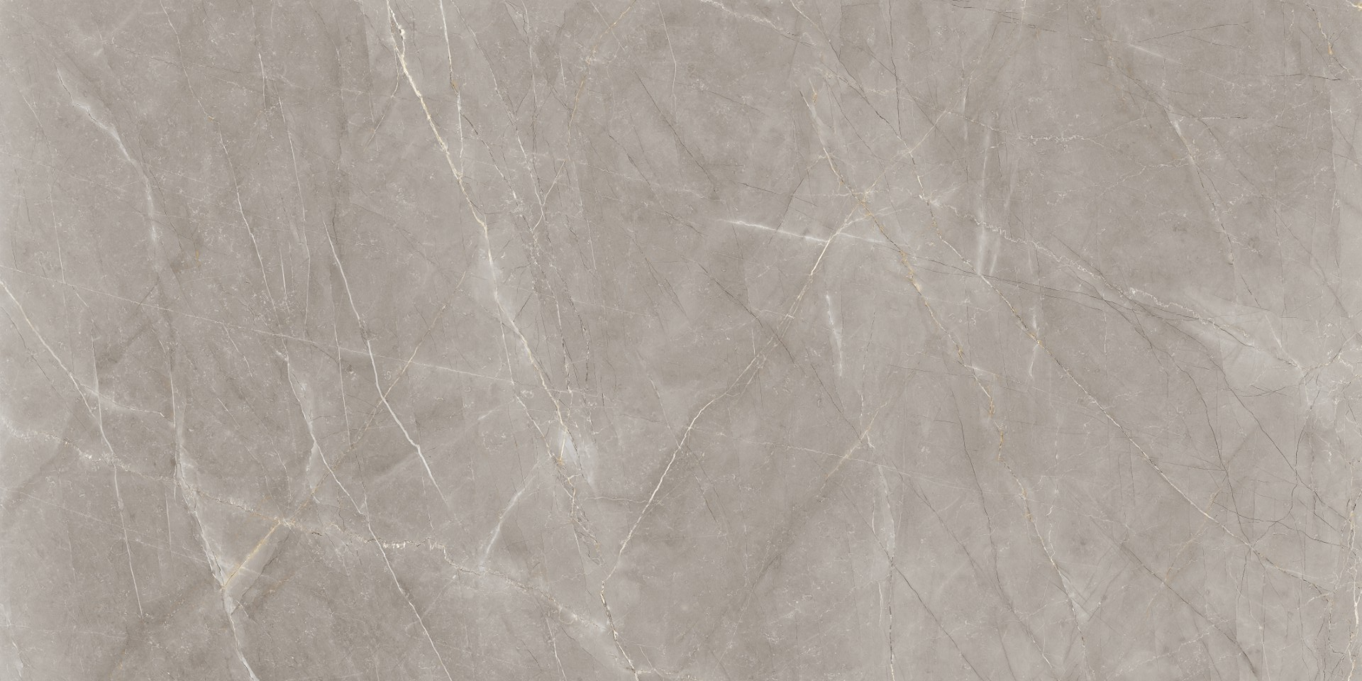 POMPEII PULPIS GRIGIO