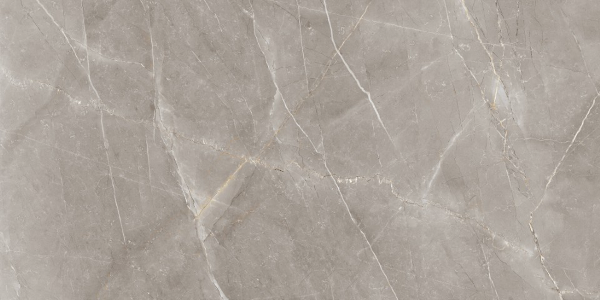 POMPELL PULPIS GRIGIO - SOFT NAT 598X1198