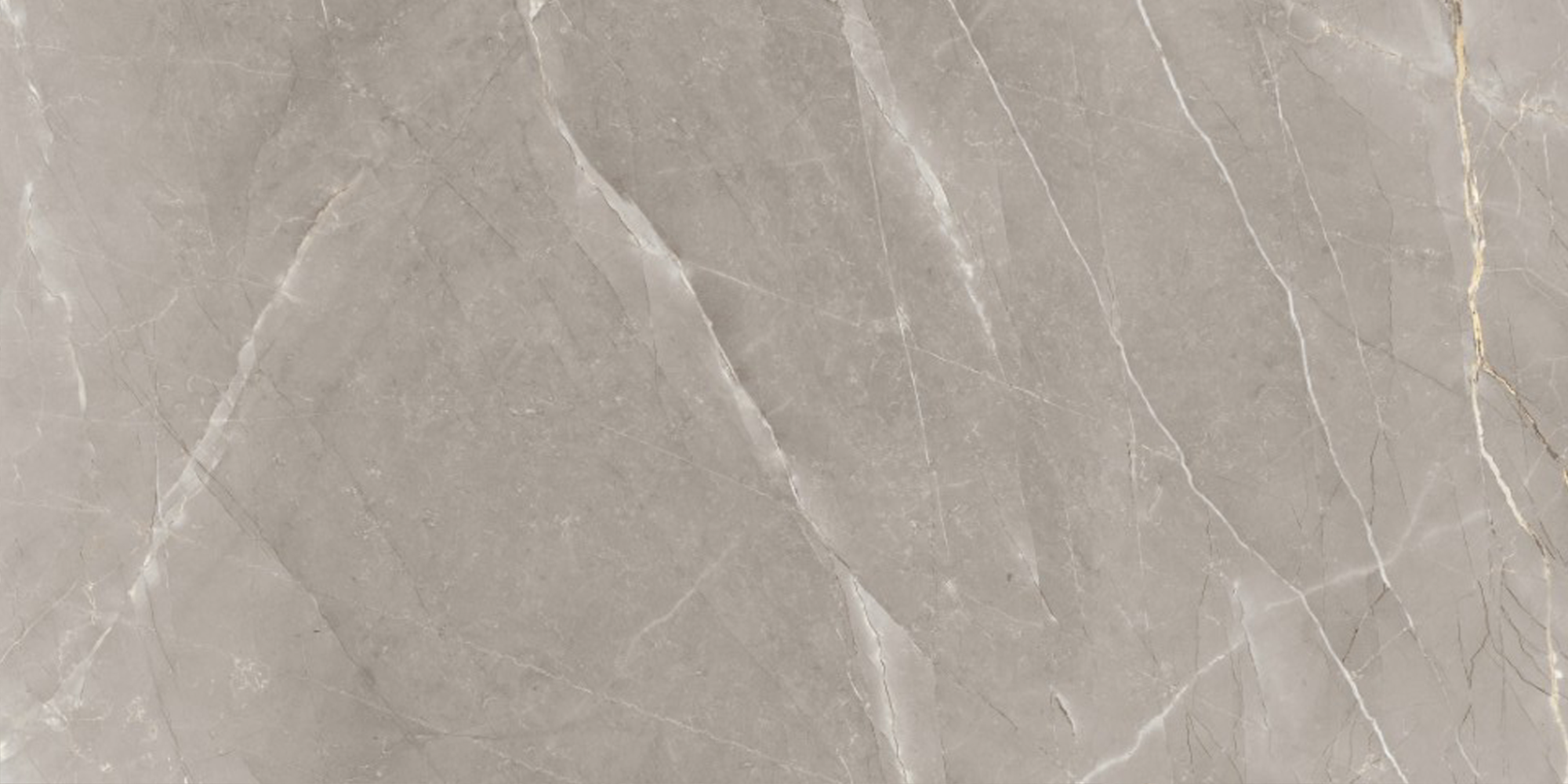 POMPELL PULPIS GRIGIO - SOFT NAT 598X1198