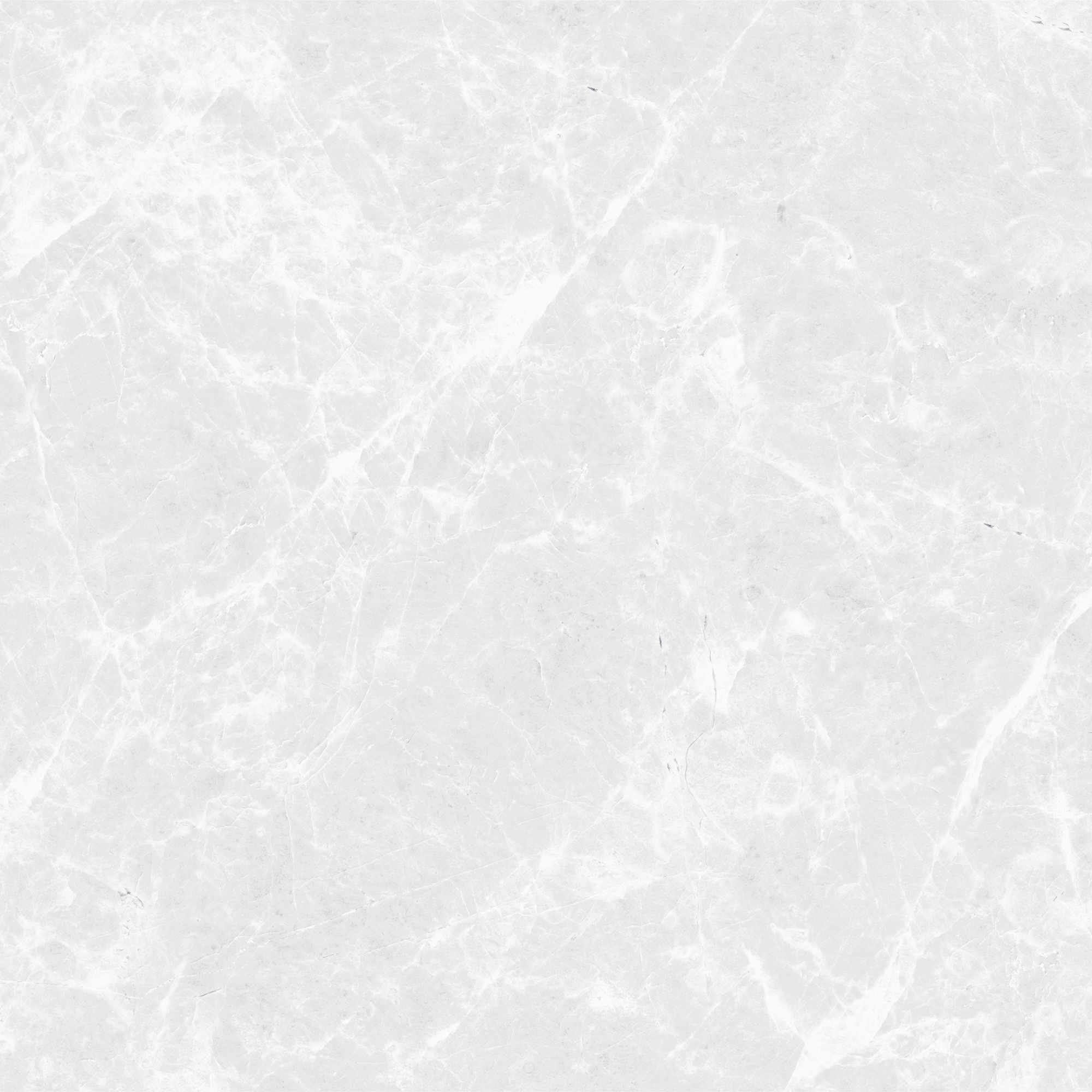 SPIDER BIANCO - GLOSSY 1010