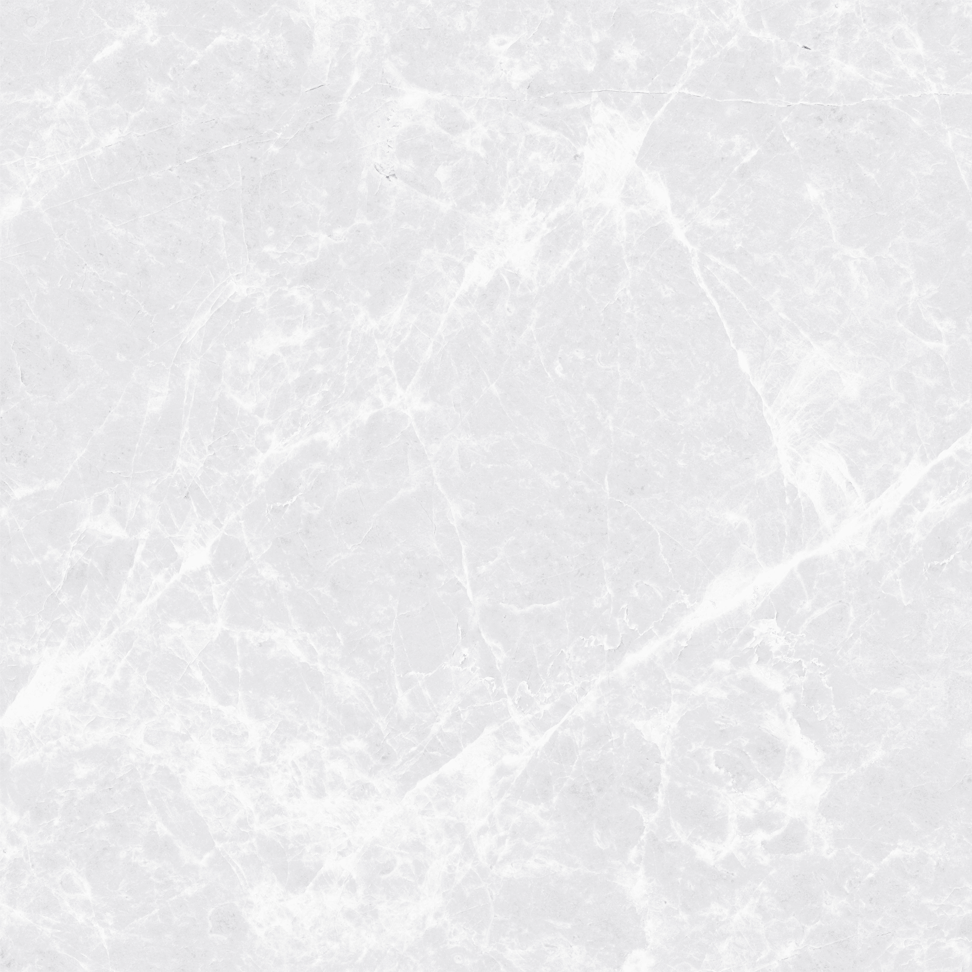 SPIDER BIANCO - GLOSSY 1010