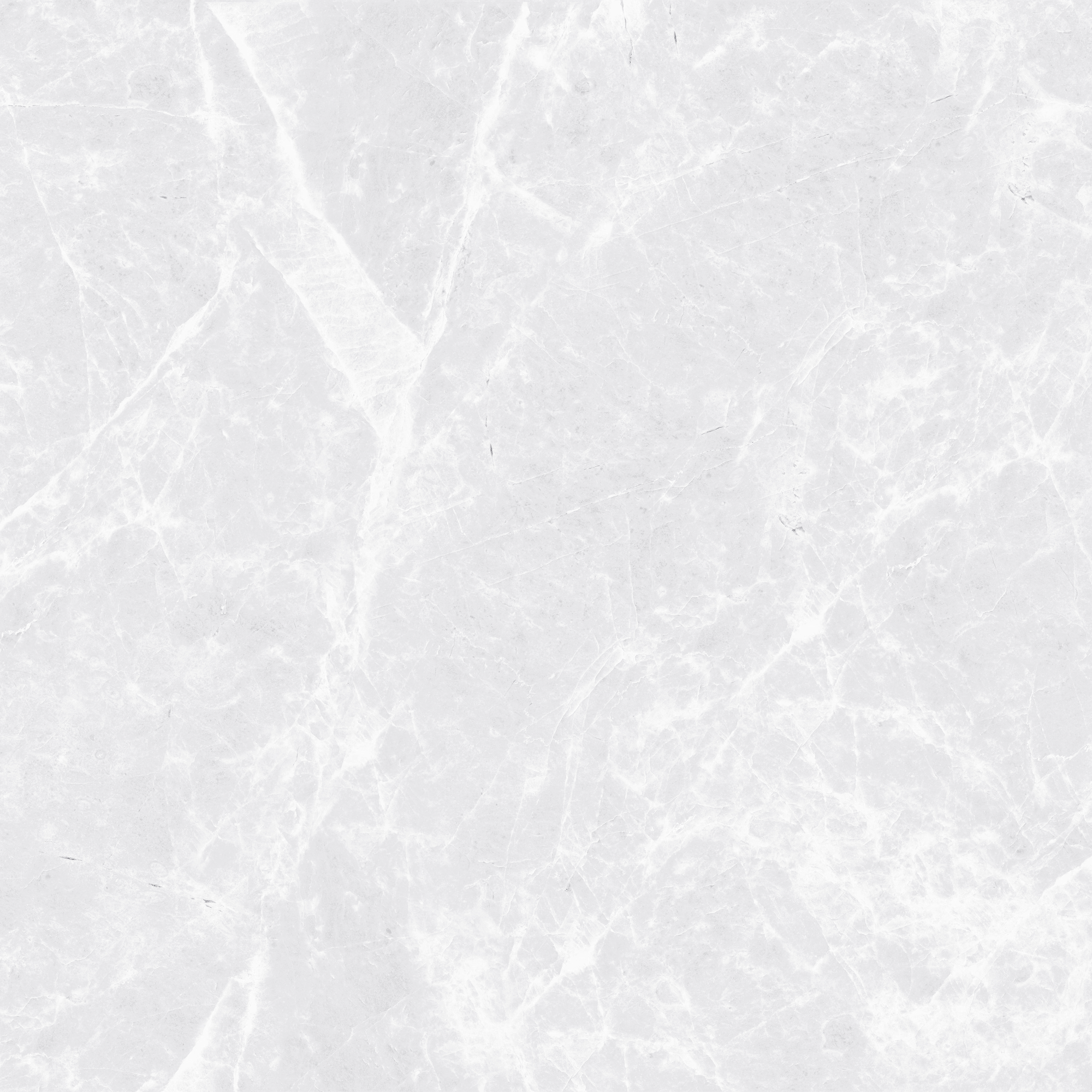 SPIDER BIANCO - GLOSSY 1010