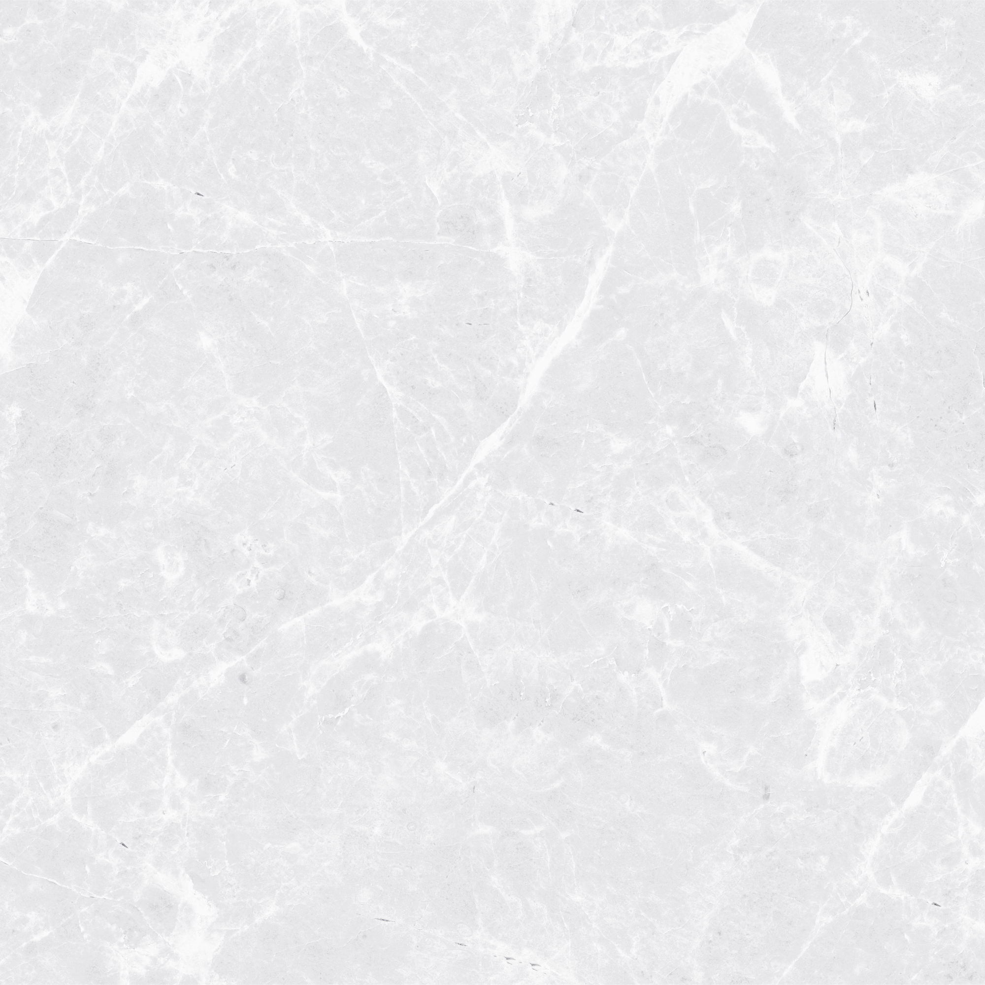 SPIDER BIANCO - GLOSSY 1010