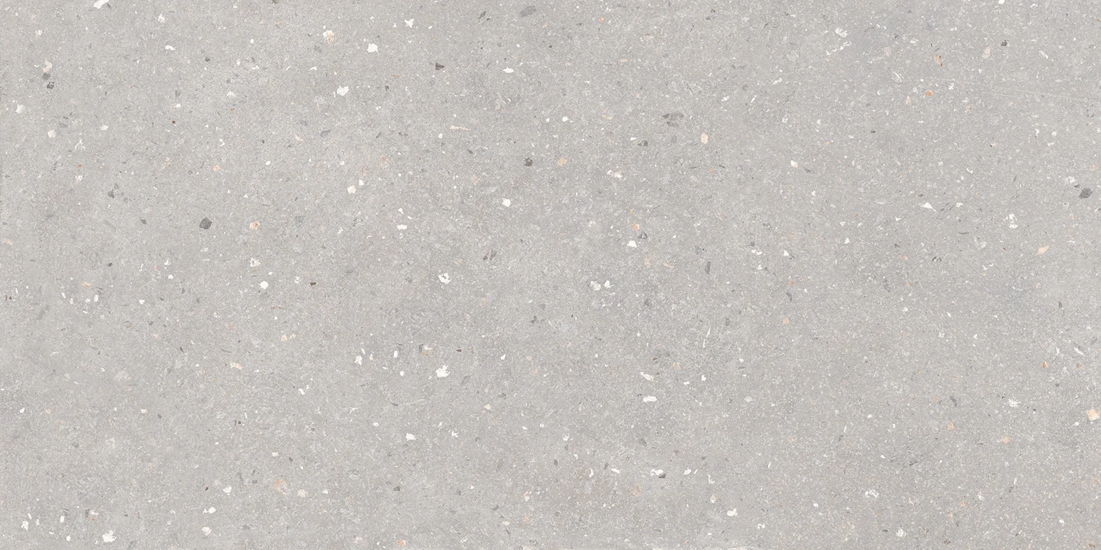 SPLINTO GREY - STRONGX MATT 0816