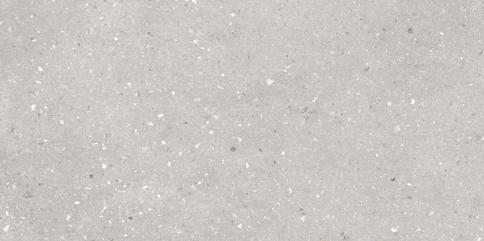 SPLINTO GREY - STRONGX MATT 0816
