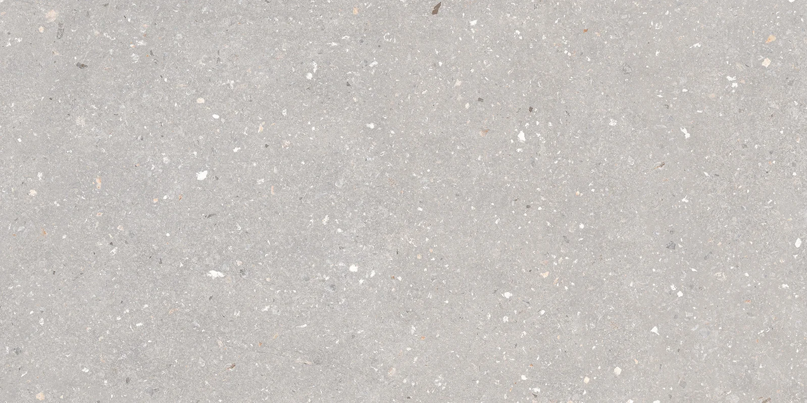 SPLINTO GREY - STRONGX MATT 0816