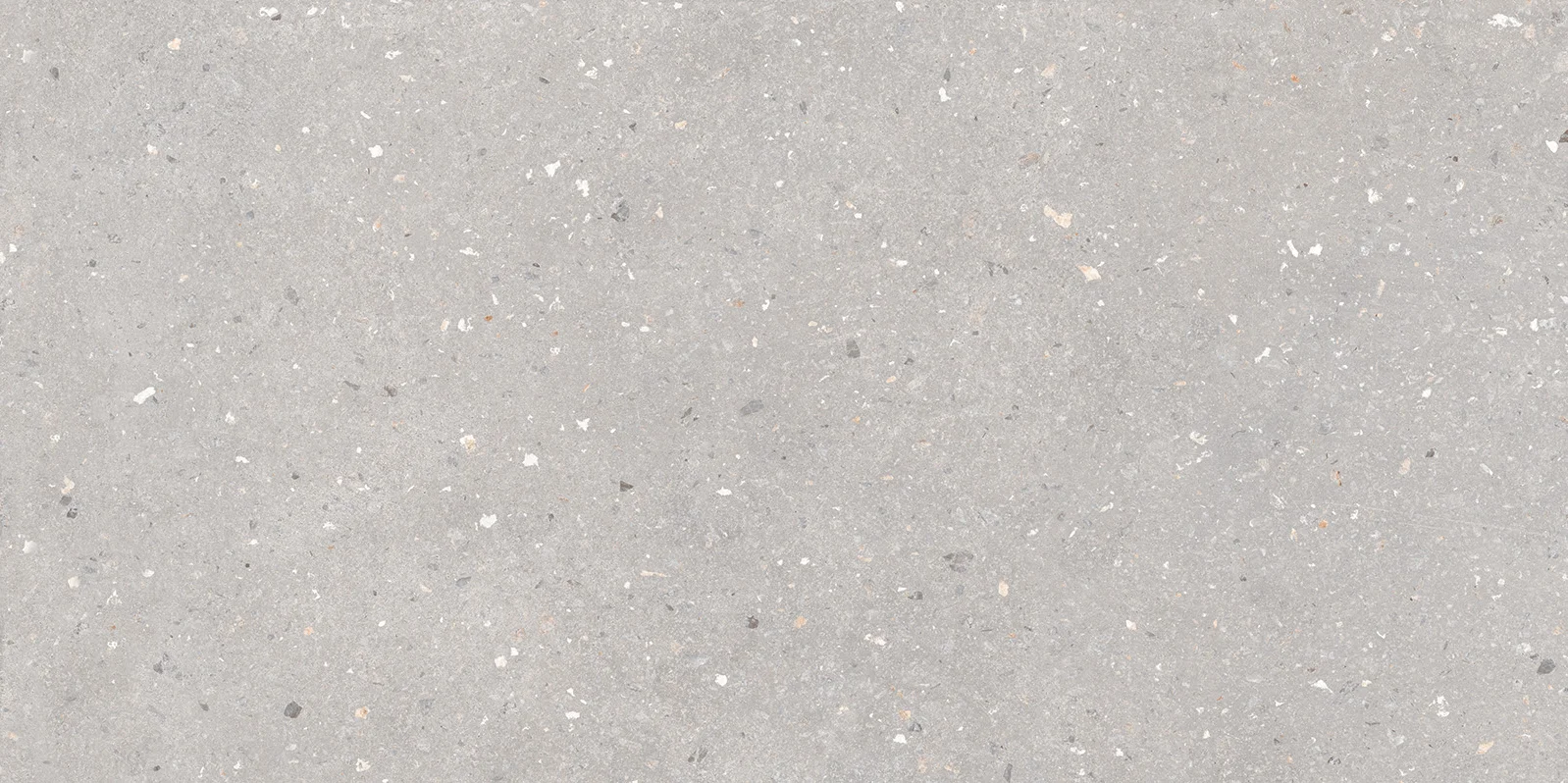 SPLINTO GREY - STRONGX MATT 0816