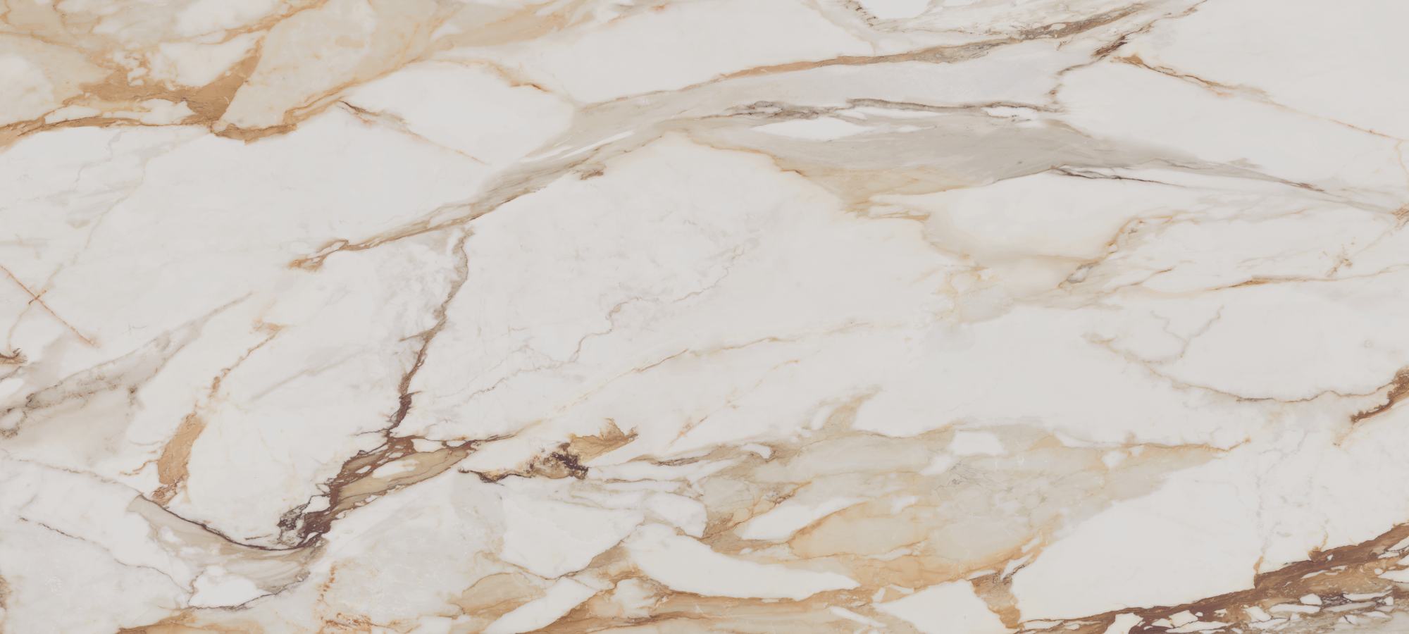 TD CALACATTA GOLD LEV RET 6MM 1200X2800