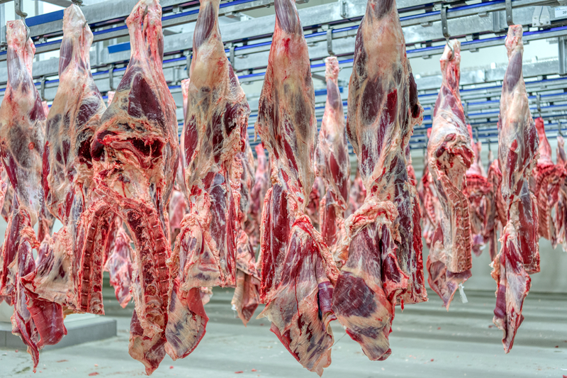 Pennsylvania Beef Producers Face Uncertainty Over JBS Closure