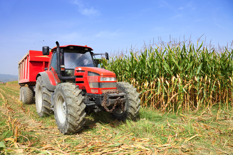June 2026 USDA Acreage Report