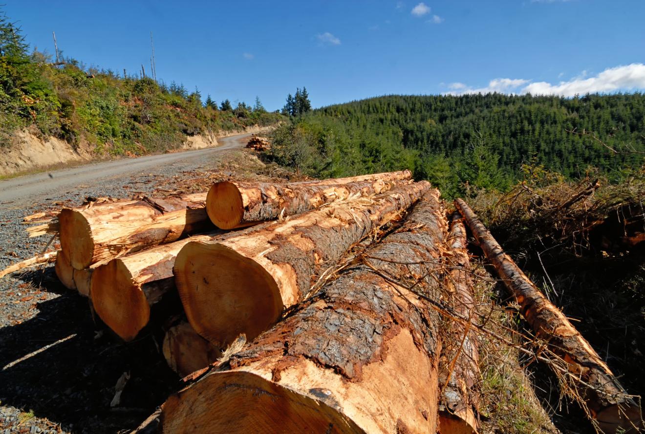 USDA Announces $80 Million Investment to Expand Timber Production and Enhance Forest Health in Nevada and Oregon