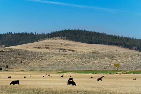 Colorado ranchers want fossil fuel companies held accountable