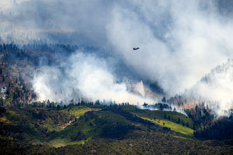 Biggest US wildfire leaves ranchers with dead and missing cattle: Officials