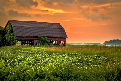 $42 Million Beef Grazing Network Aims to Boost Producer Profitability and Resilience