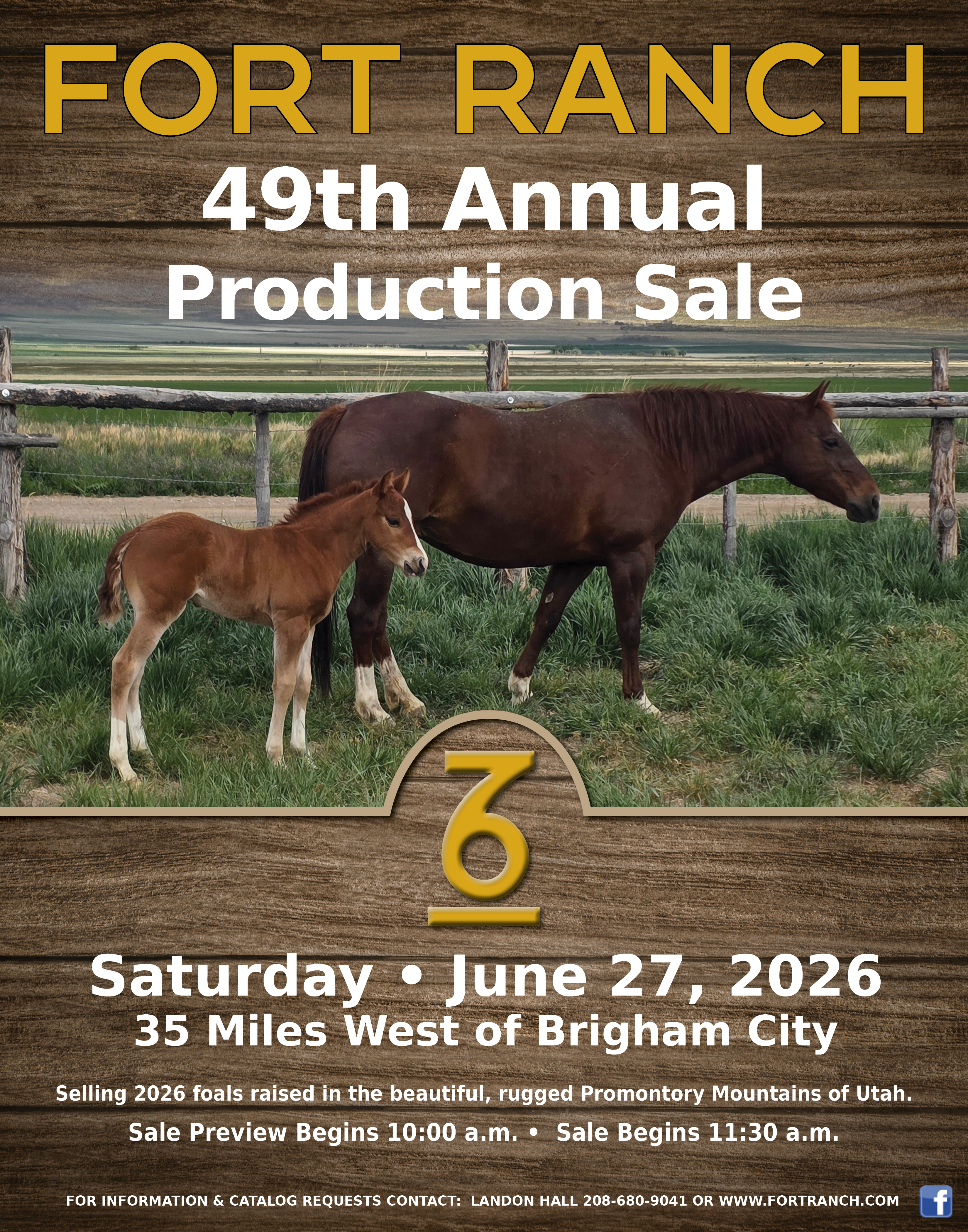 Fort Ranch Horse Sale