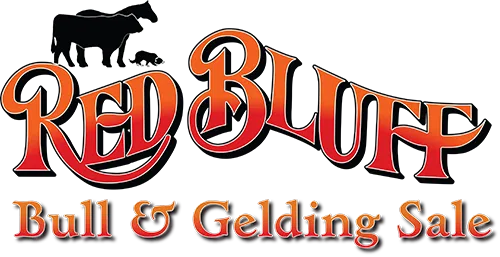 Red Bluff Bull and Gelding Sale