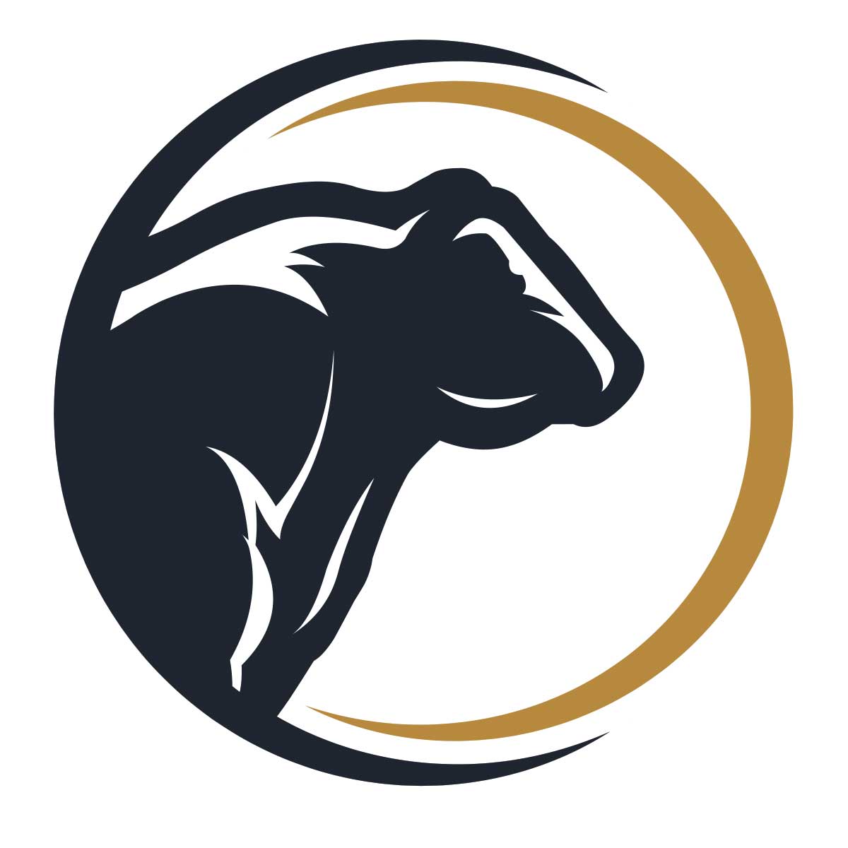 Stock Point Media Group