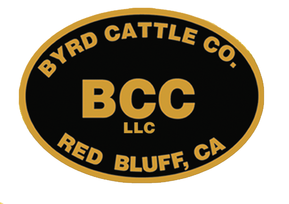 Byrd Cattle Co