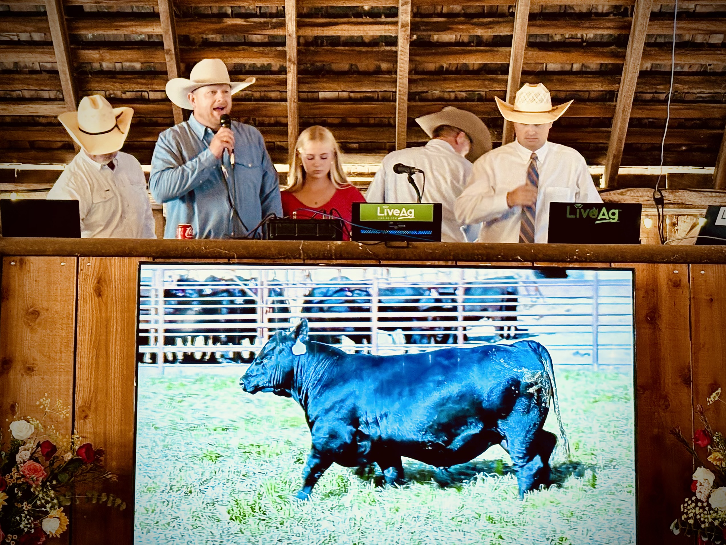 Rhoades Ranch Sale gallery image 1