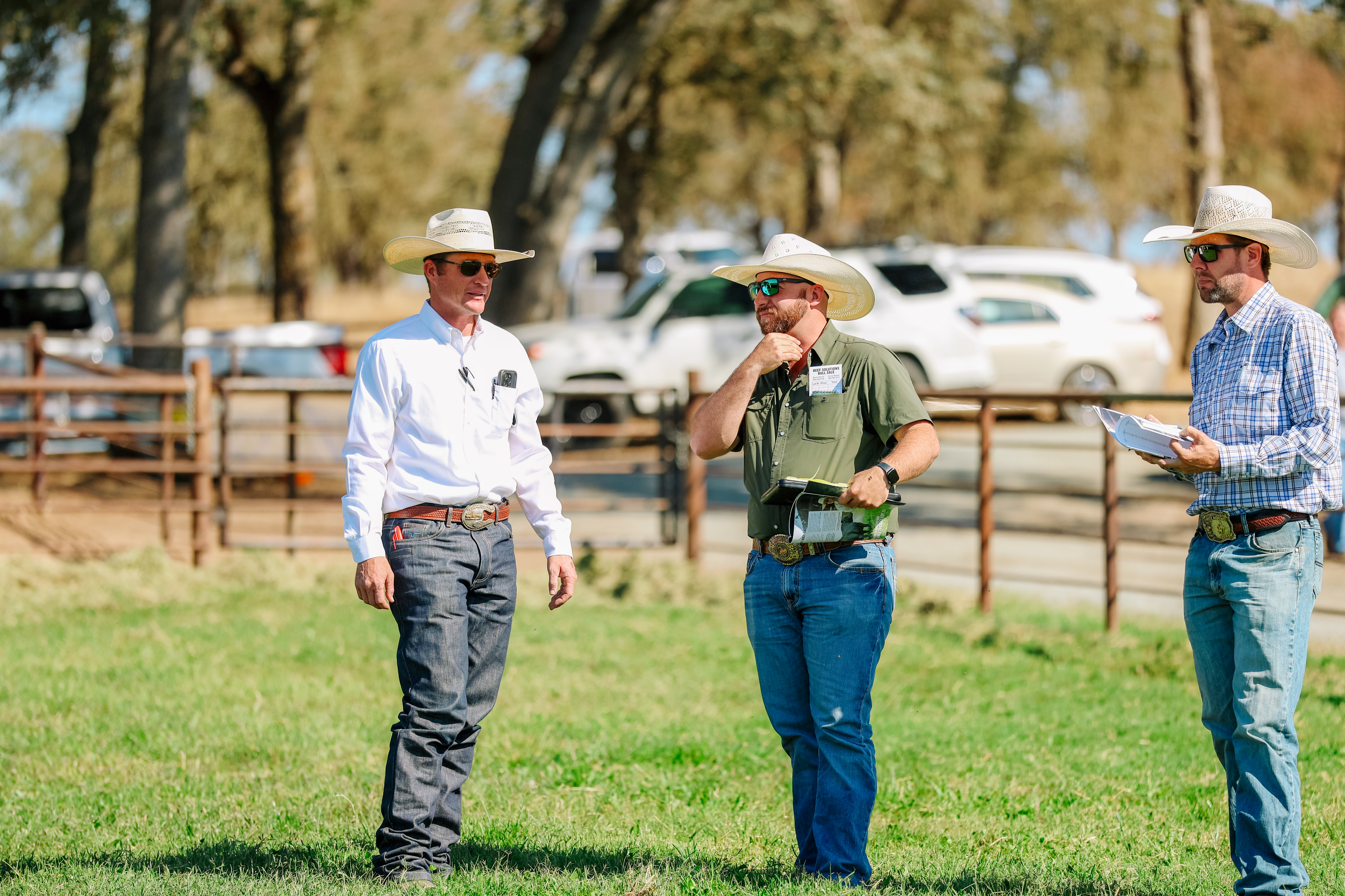 Beef Solutions Bull Sale gallery image 2