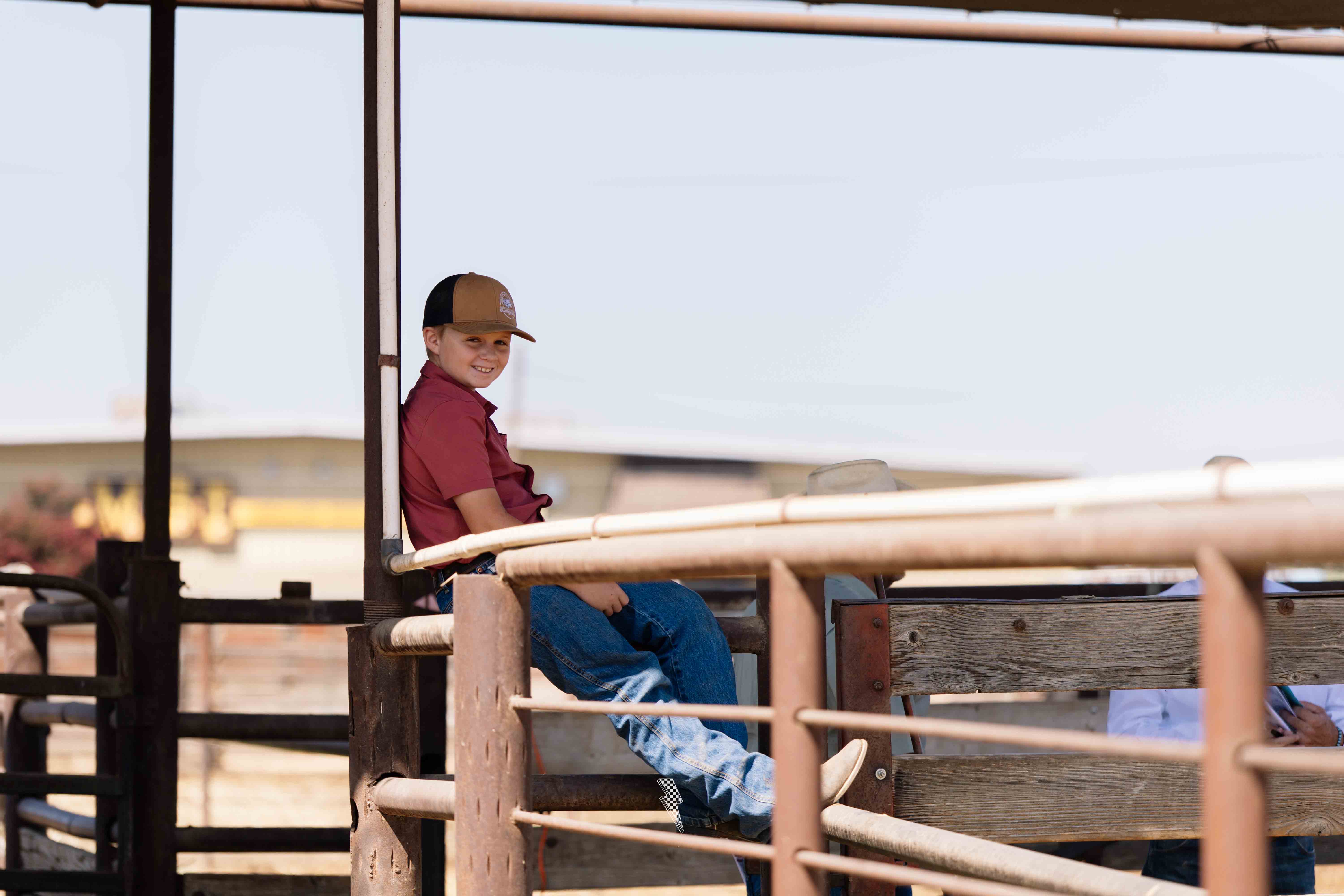 Visalia Livestock Market Bull Sale gallery image 5
