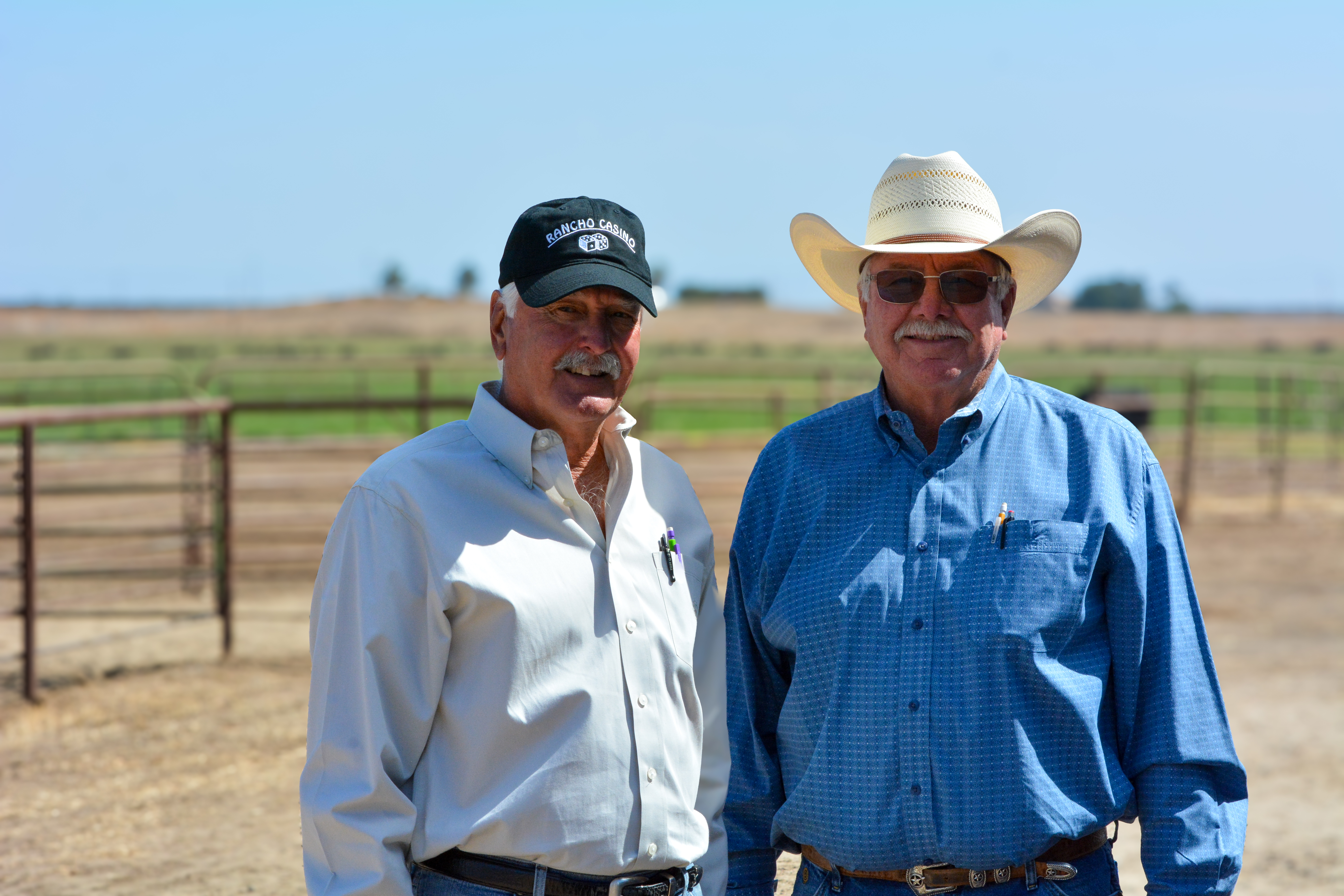 Rancho Casino/Dal Porto Livestock Sale gallery image 1