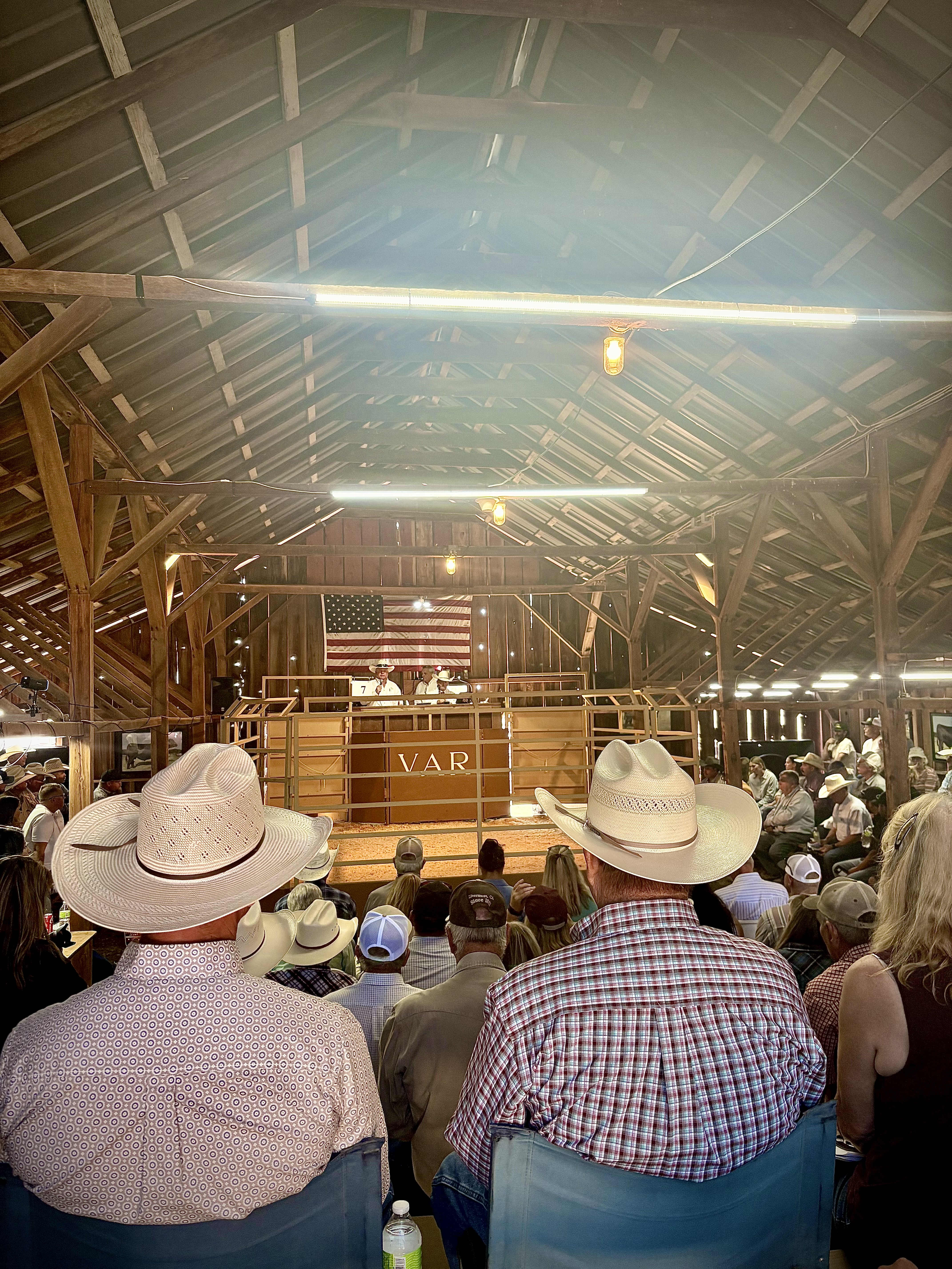 Vintage Angus Ranch Bull Sale gallery image 1