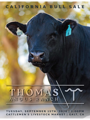 Thomas Angus Ranch gallery image 1