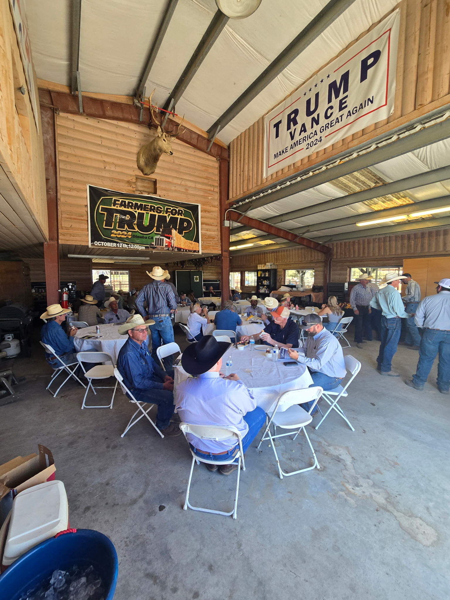 Leachman Cattle, CA Sale gallery image 4