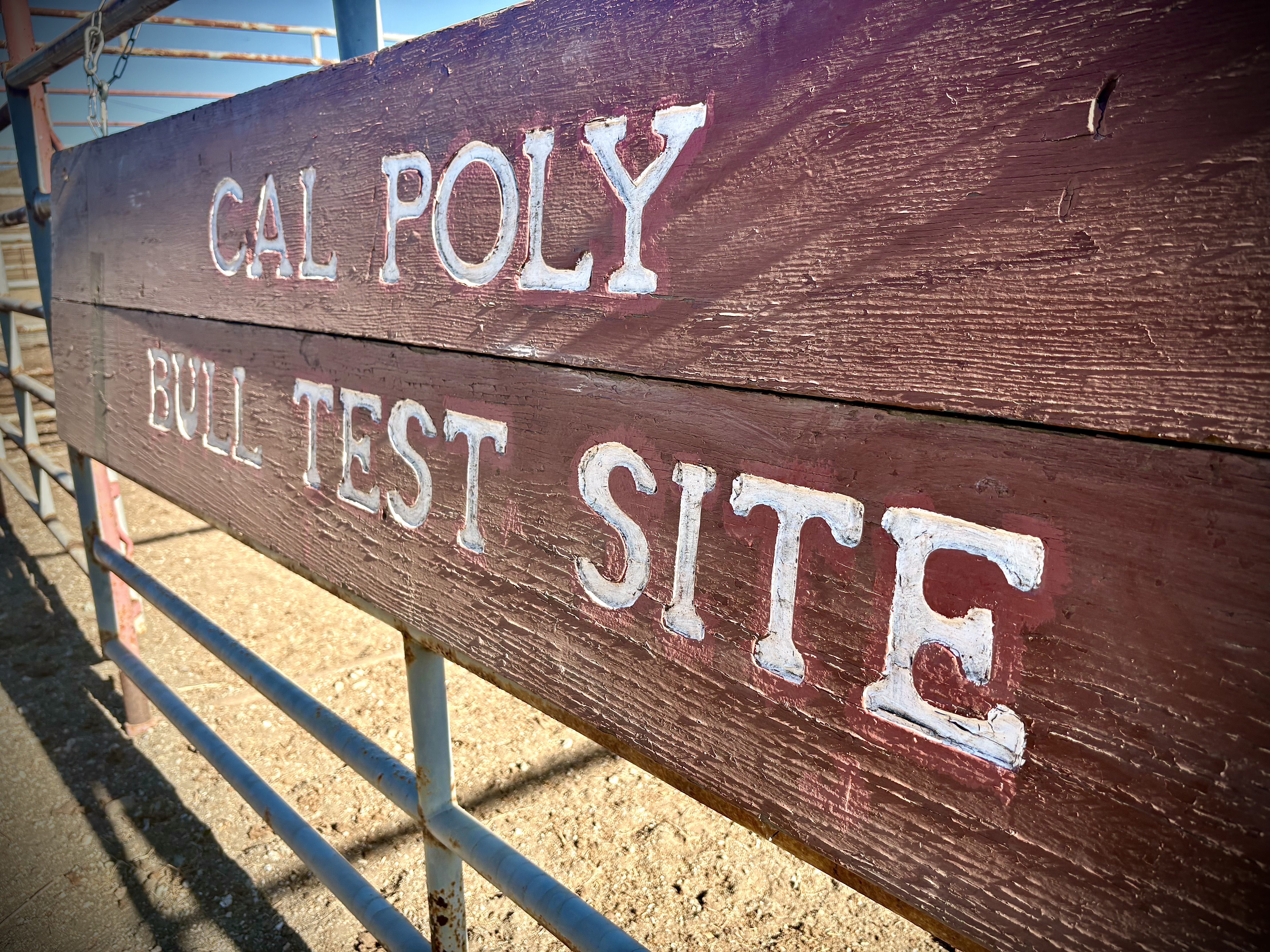 Cal Poly Perf. Test Sale gallery image 1