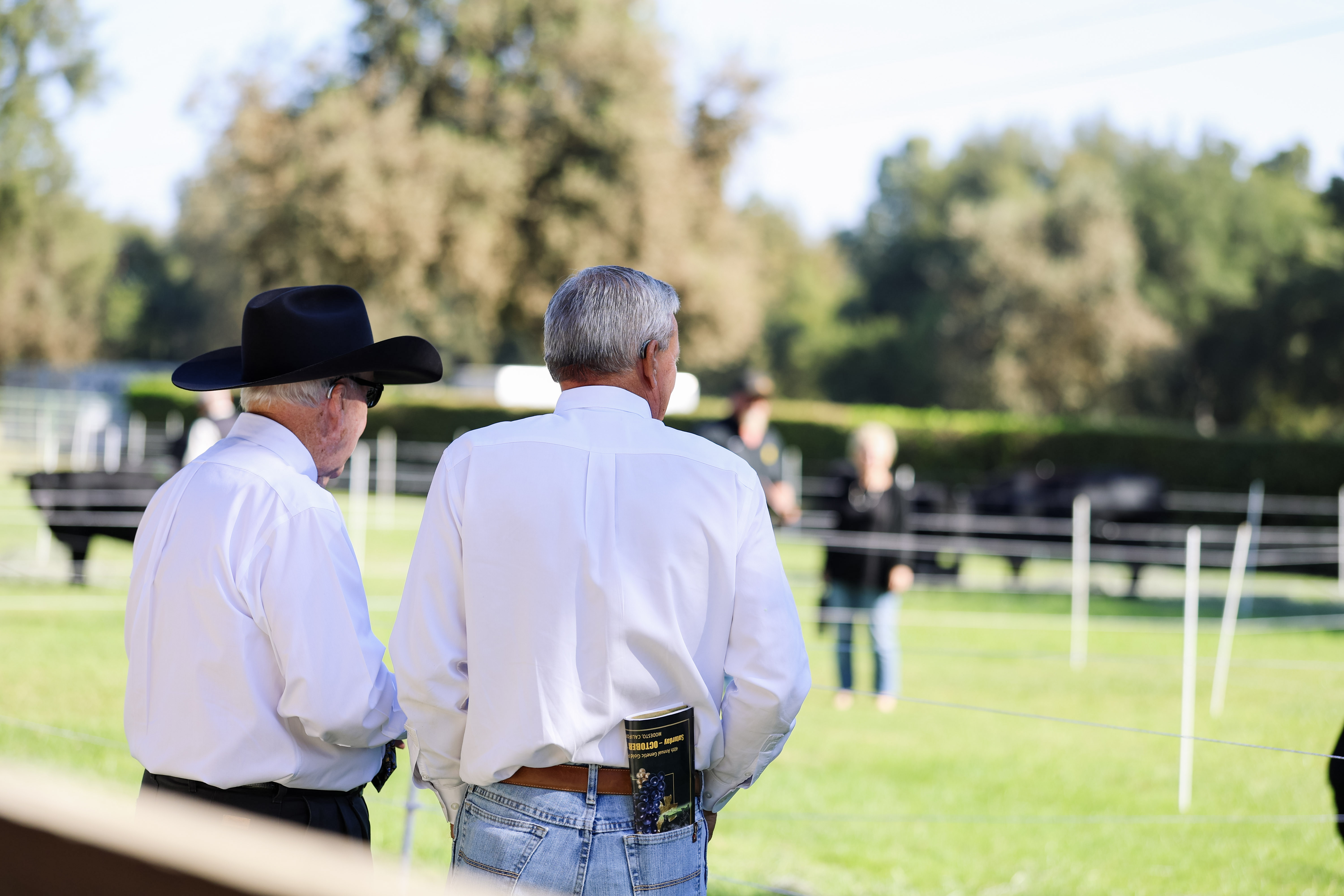 Vintage Angus Ranch Female Sale gallery image 3