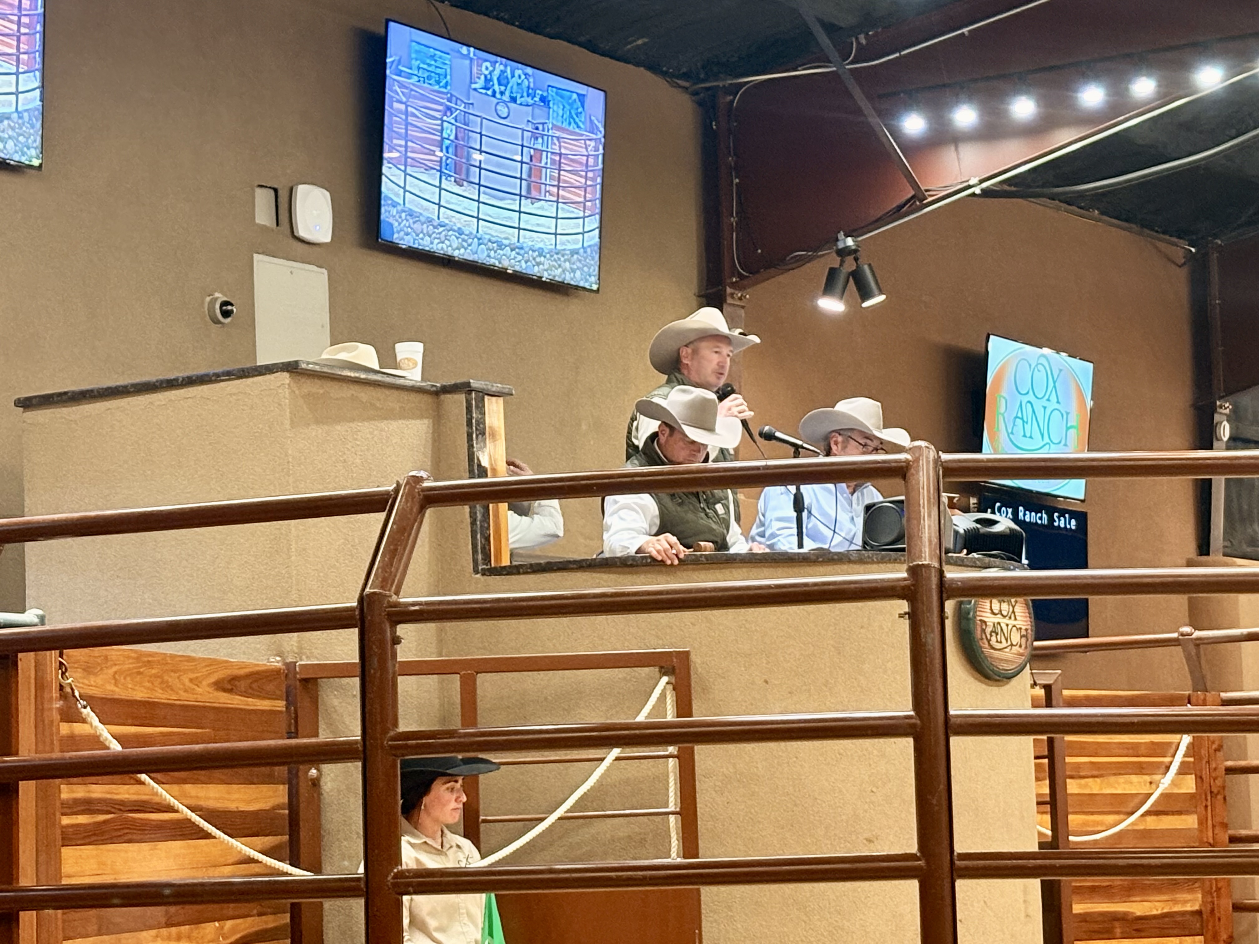Cox Ranch Production Sale gallery image 2