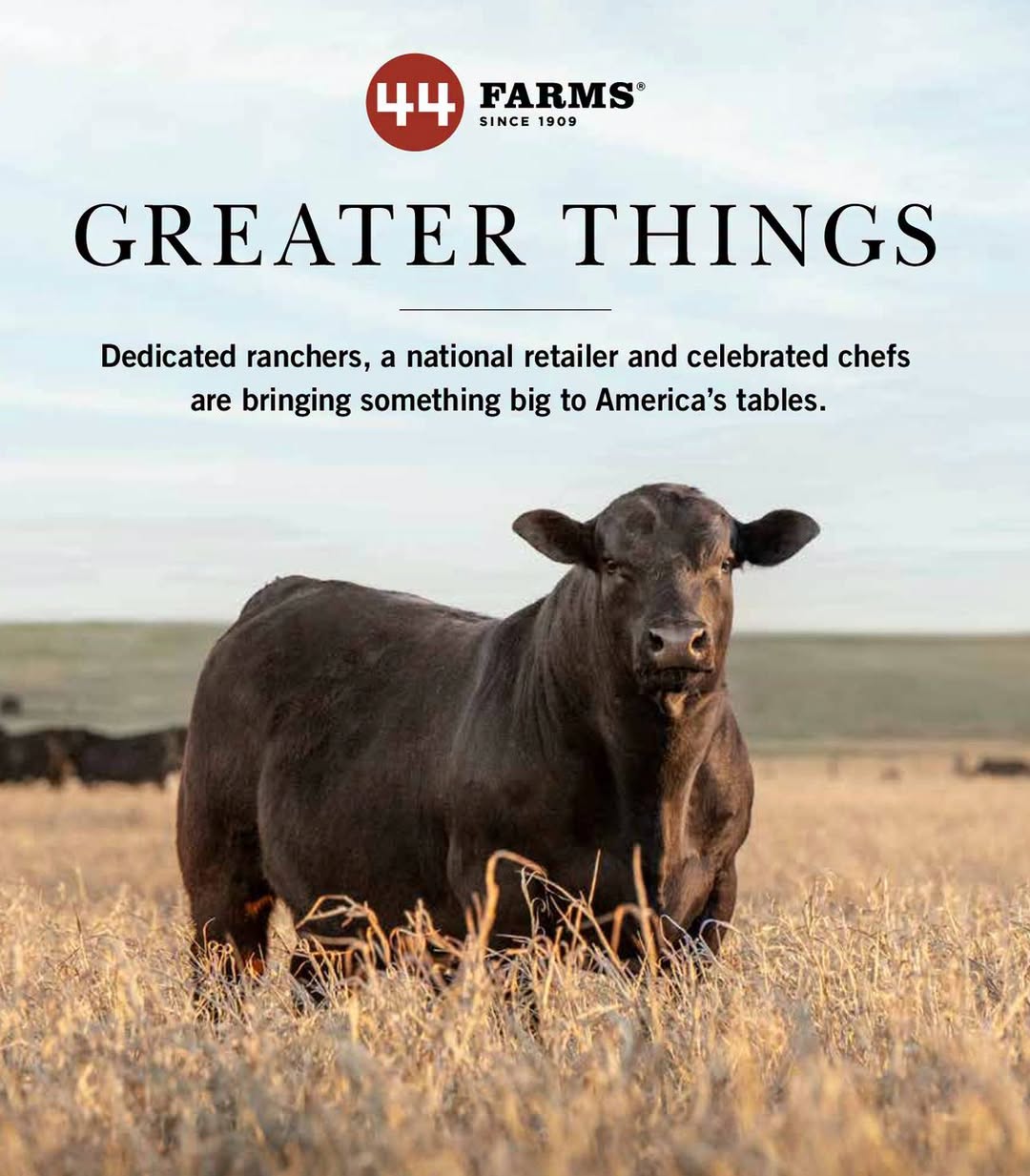 44 Farms Bull Sale gallery image 2