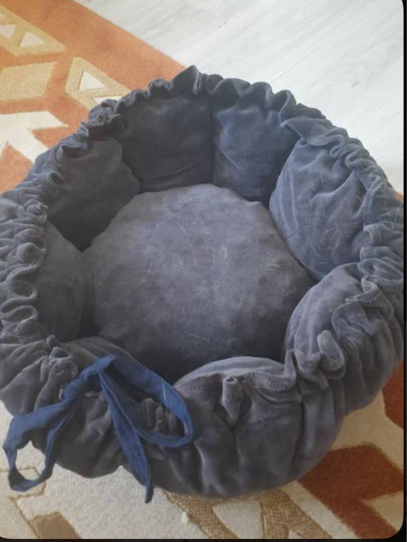 kedi yatağı