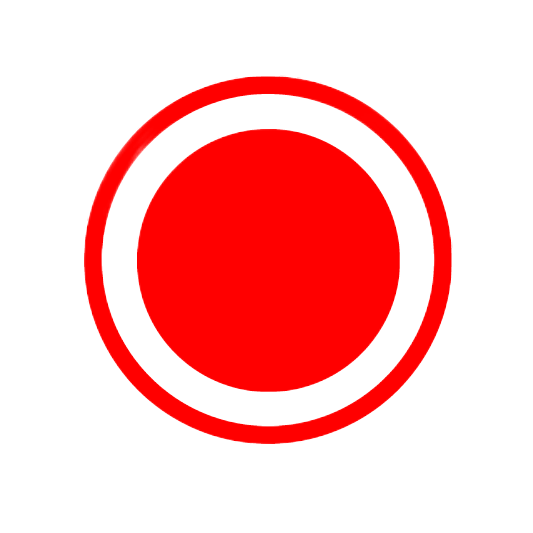 MK SCREEN RECORDER PRO BETA 