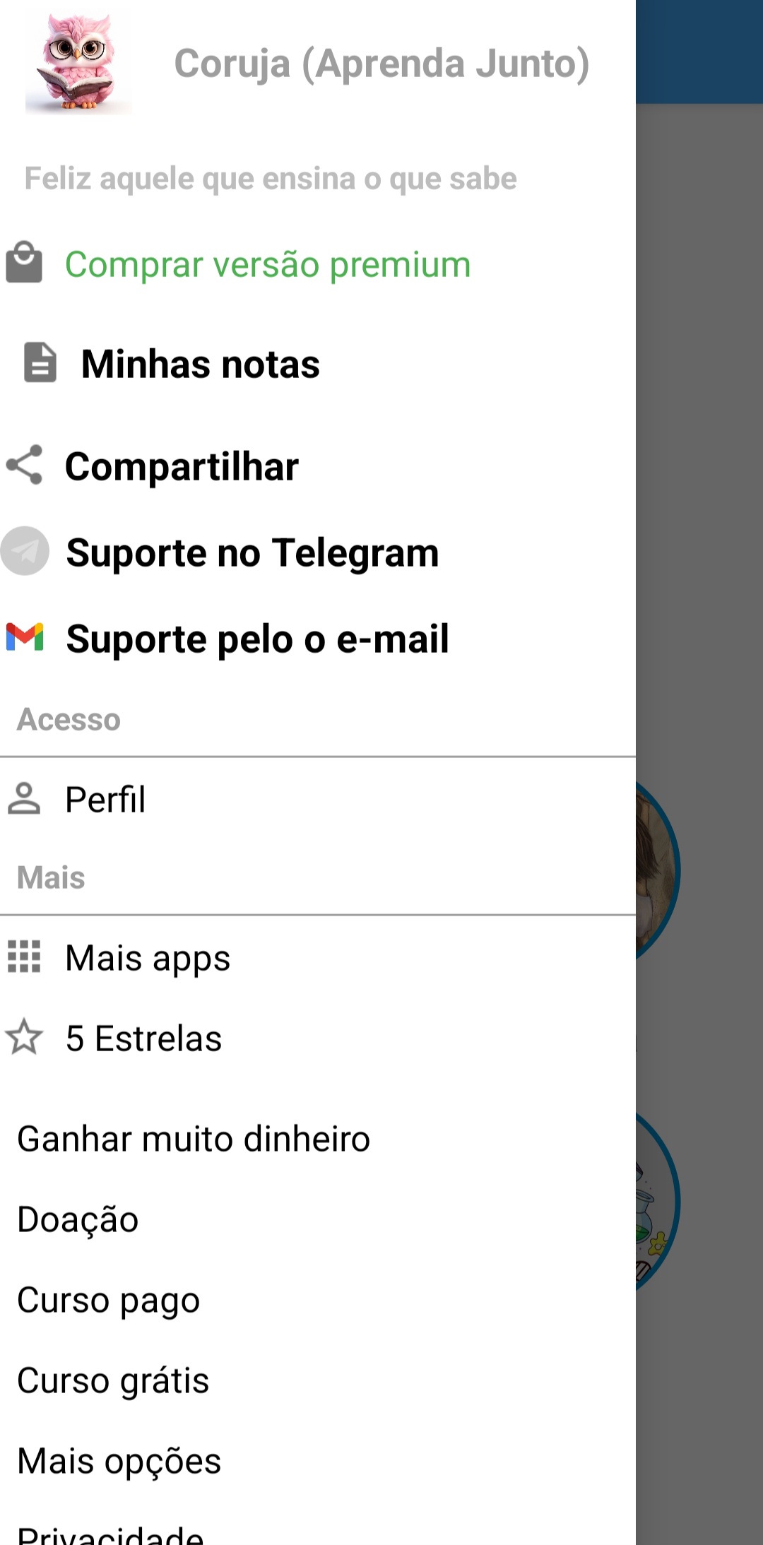 Resumão Coruja: o segredo para otimizar seus estudos e conquistar seus objetivos! — Screenshot 3
