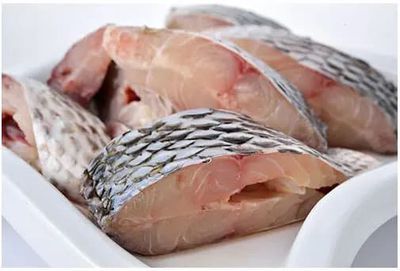 Tilapia Fish