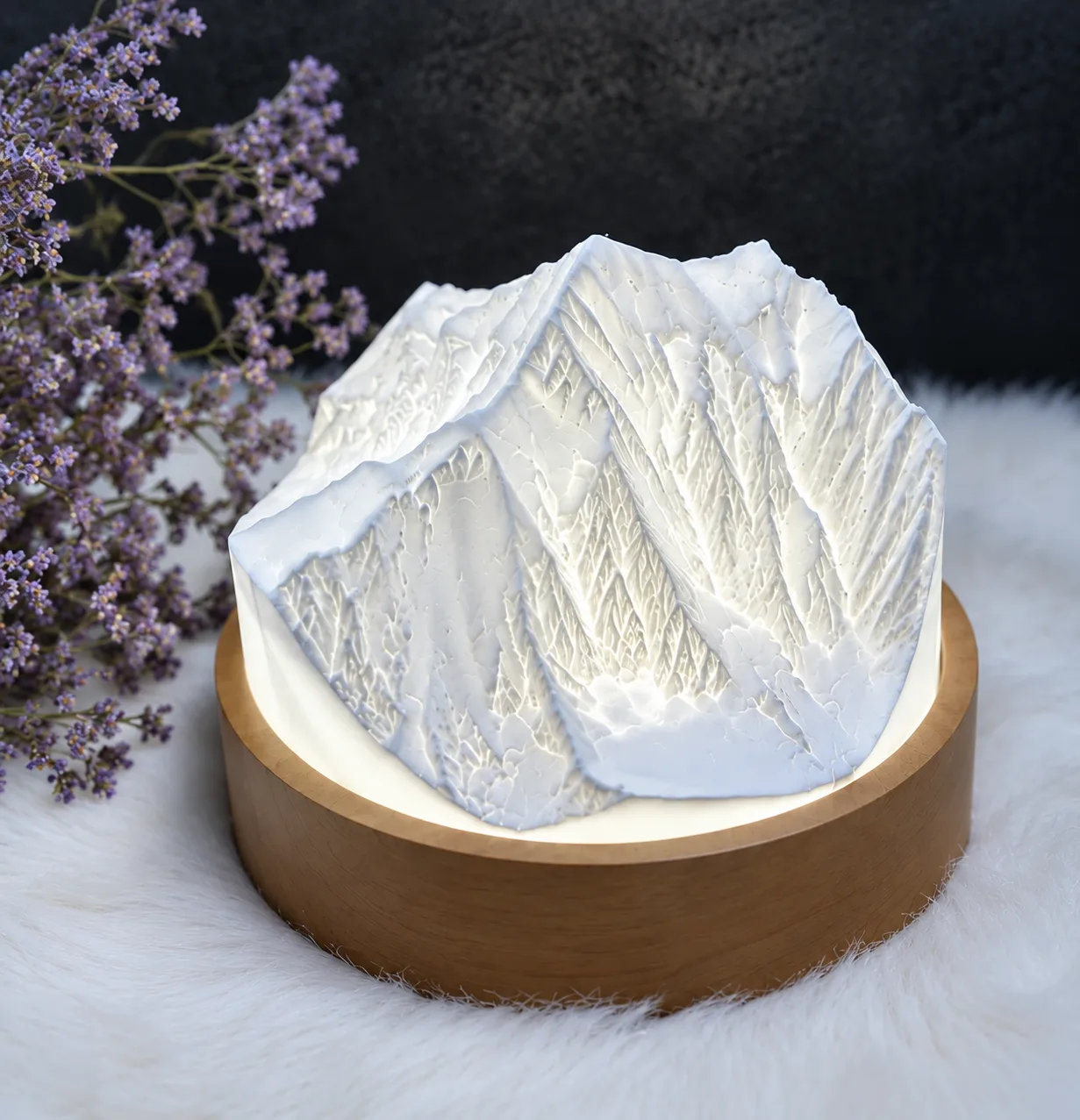 Mont Blanc Sommet