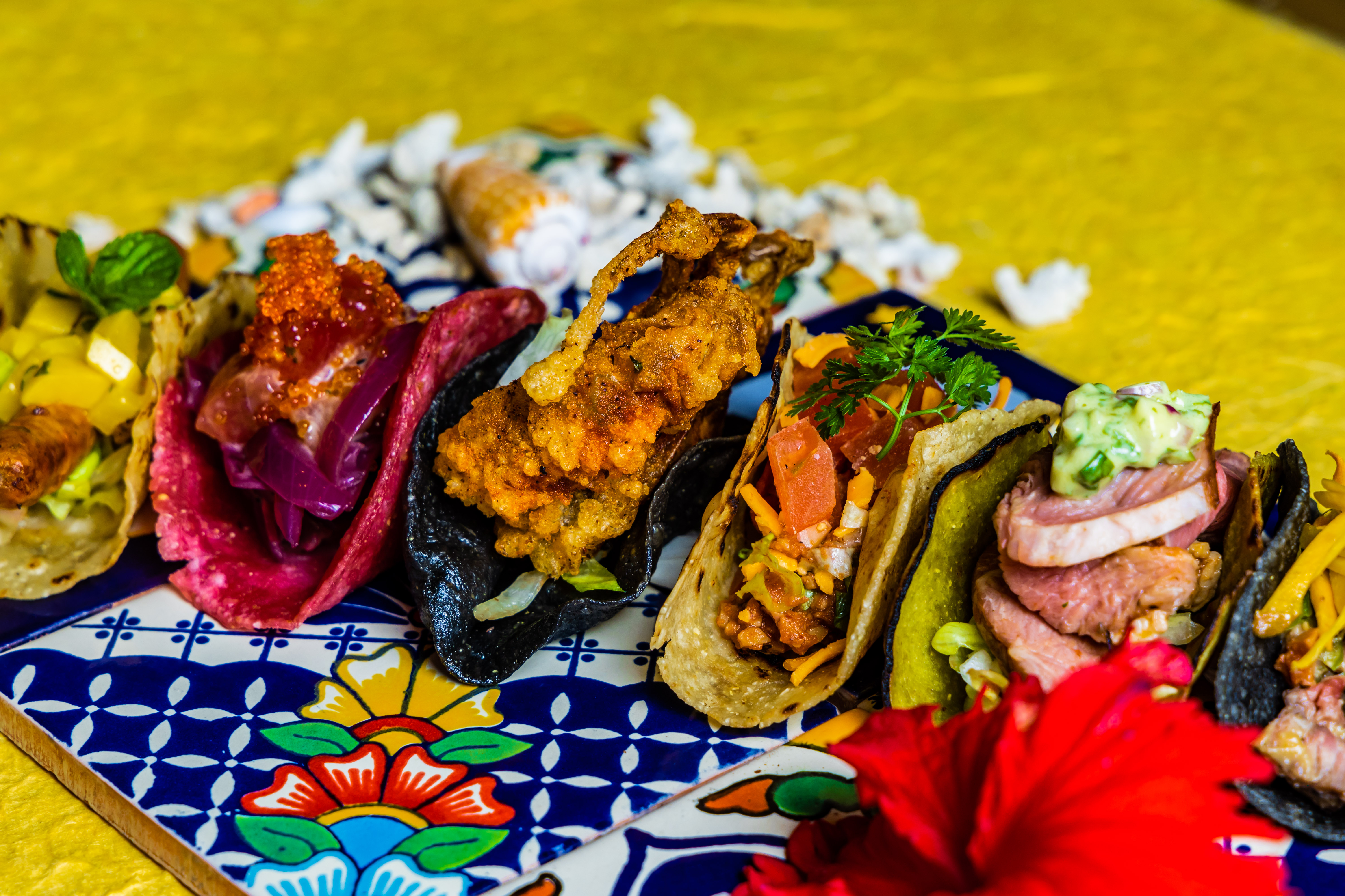 【食べ放題】今夜はメキシカンな「タコパ」で決まり!🥑