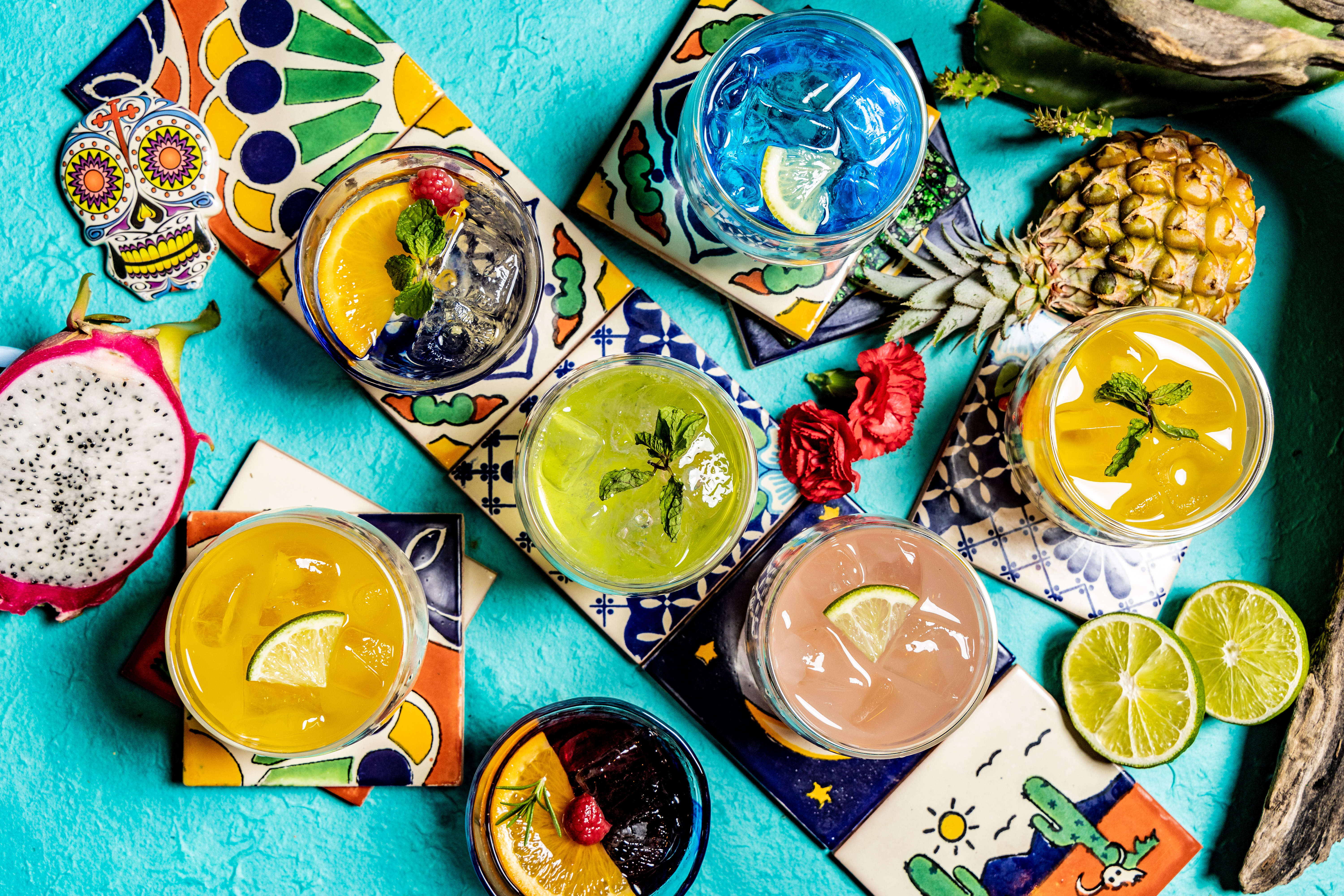 【ランチ限定】60分飲み放題で楽しむ贅沢昼飲み🍹✨