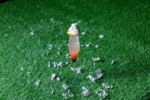 Sparkling Strawberry Peach Cherry Blossom