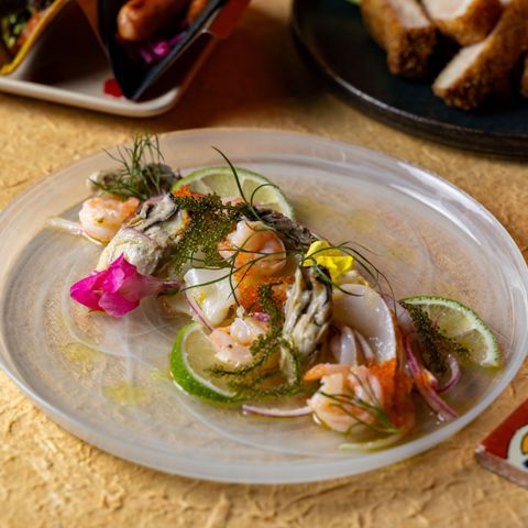 Oyster and Squid Ceviche