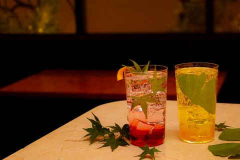 Tokyo Momiji Tonic [2025/9/8~10/31].