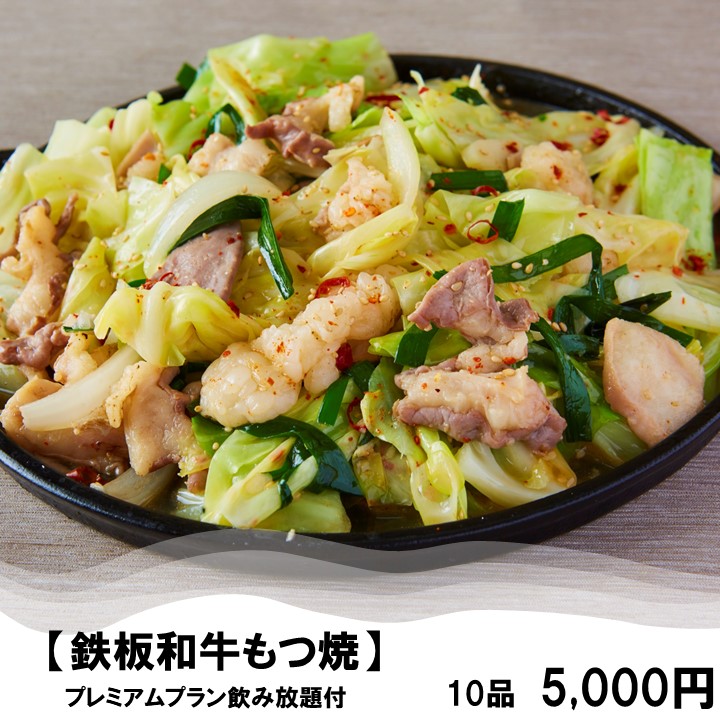 [鉄板もつ焼き]馬刺しや黒豚メンチカツ付き！10品【2H飲み放題付】5000円