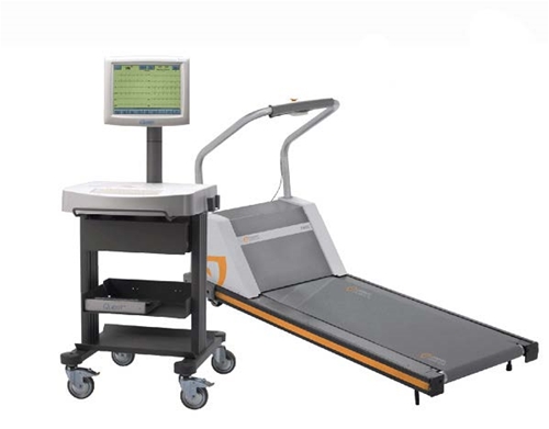 Burdick Quest Stress Test System