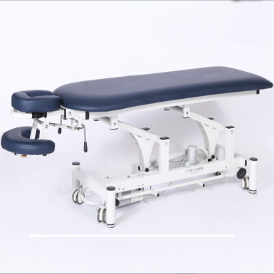 Contoured Electric Treatment Table