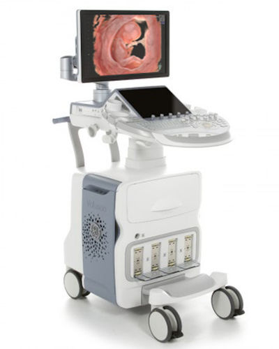 ON-PLATFORM ULTRASOUND SYSTEM / FOR GYNECOLOGICAL AND OBSTETRIC ULTRASOUND IMAGING / 3D/4D VOLUSON E10