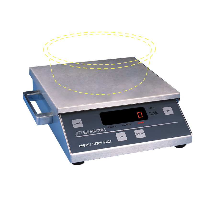 SCALE-TRONIX DIAPER AND ORGAN SCALE