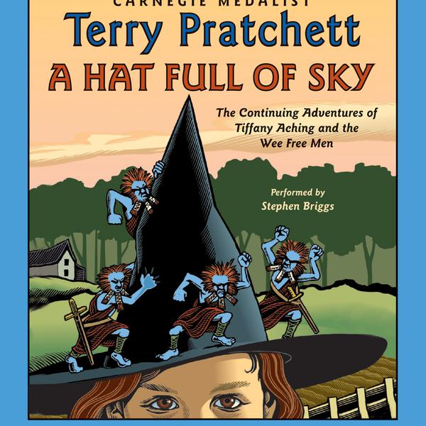 A Hat Full of Sky